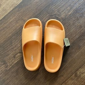 NWT slides